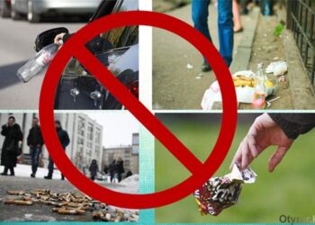 Национальный индекс нулевой терпимости к правонарушениям